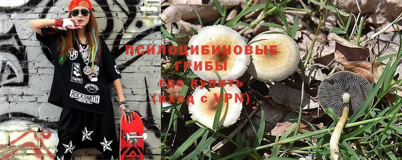 Галлюциногенные грибы Magic Shrooms  Лыткарино 